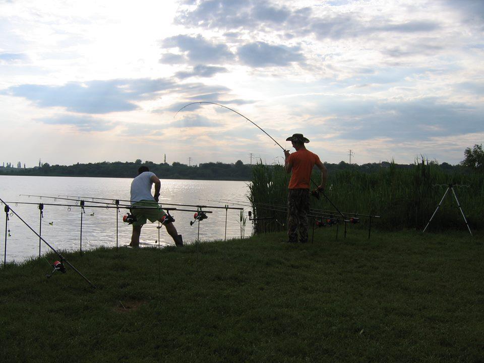 Best Off - 1479609609118899135915488676020n.jpg